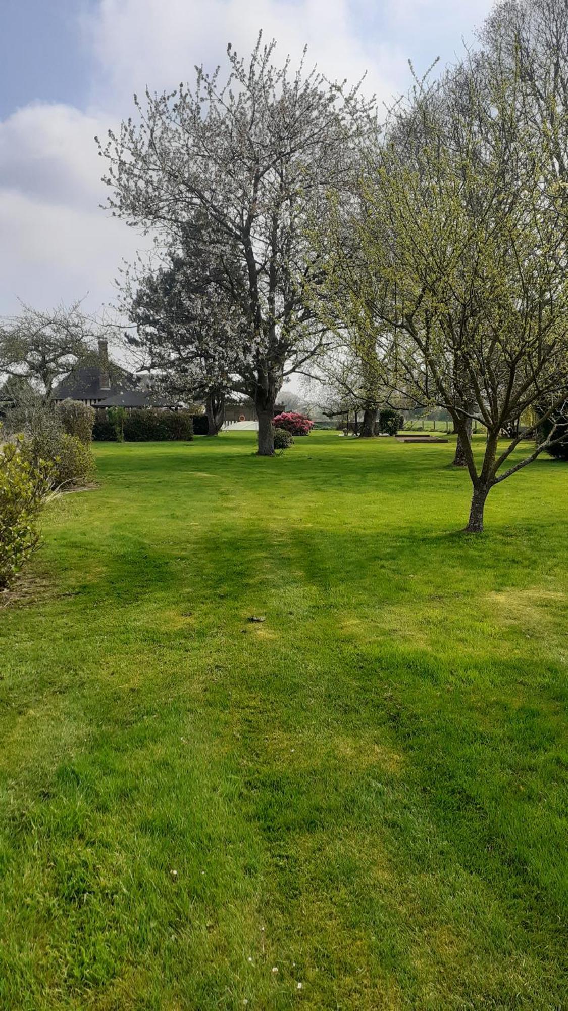 Pressoir Les Campenottes Bed & Breakfast Beuzeville Exterior foto